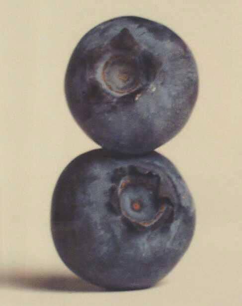 Hooks Blueberries