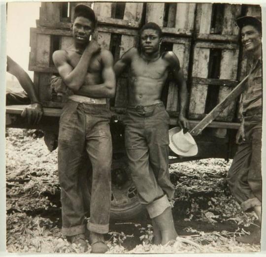 Country, Celery Pickers, NY State