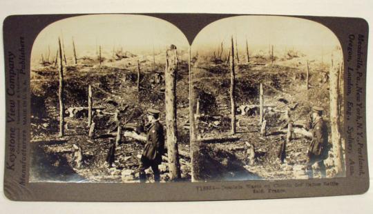 Desolate Waste on Chemin des Dames Battlefield, France