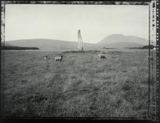 Standing Stone with Sheep, Isle of Arran, Scotland