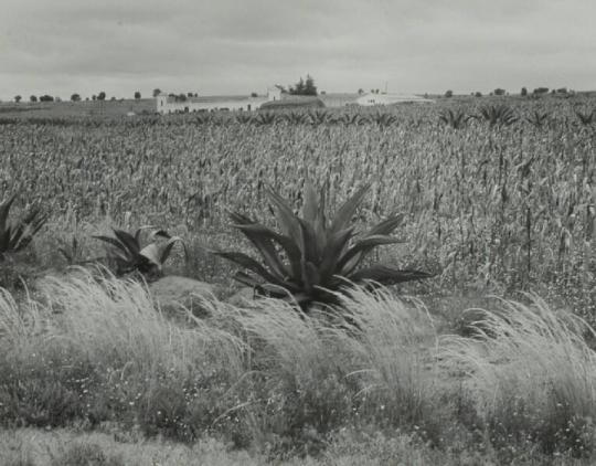 cropped recto of mount