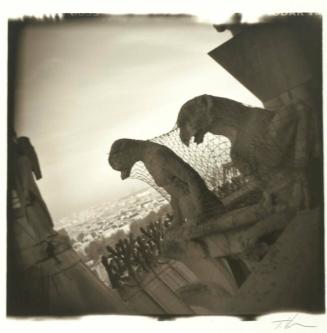 Gargoyles of Notre Dame, Paris