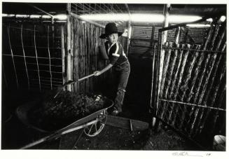 Roy Hurd Moore Cleaning Stable, Davis Ranch, Merkel, Texas