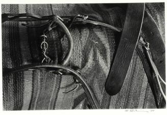 Saddle Blanket and Harness, Green Ranch, Albany, Texas