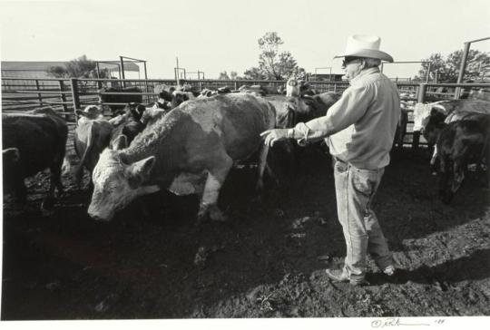 Bob Green, Green Ranch, Albany, Texas