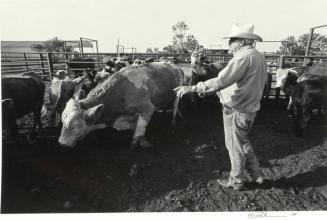 Bob Green, Green Ranch, Albany, Texas