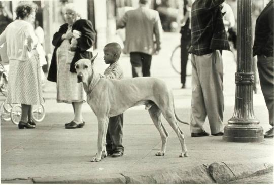 Black Boy and Great Dane, Harlem