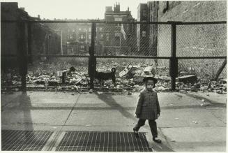 The Little Girl, the Fence, and the Dog, Bedford Stuyvesant, Brooklyn
