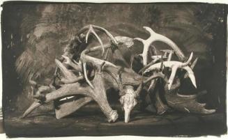 Mound of Antlers