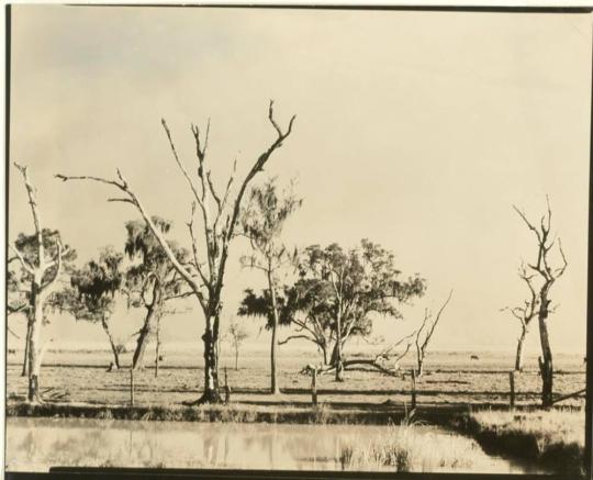 Landscape, Gulf Coast, Louisiana