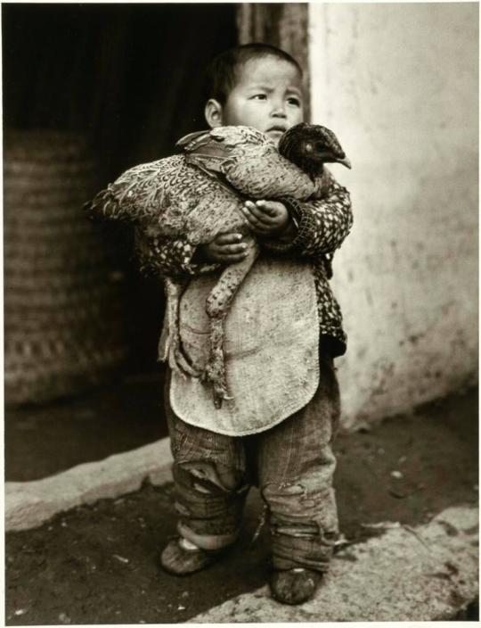 Farmer's Son with Chicken, Hungjao, China