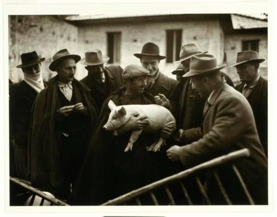 Farmers in Market, Tocco, Italy