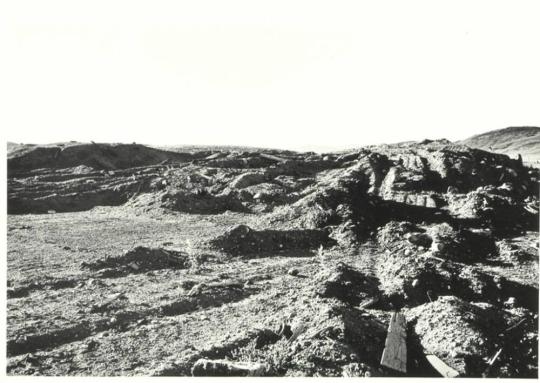 Between Sidewinder Road and State Highway 248, Looking North