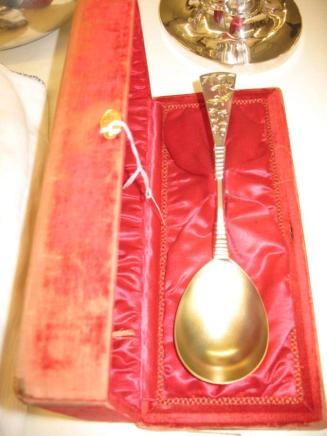 Berry Spoon with Case