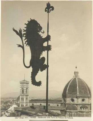 Banderuola sulla Torre del Palazzo del Podesta