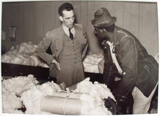 Negro Farmer who has brought his cotton samples to town discusses price with cotton buyer