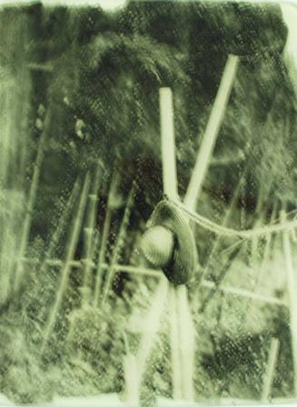 Inada Norifumi