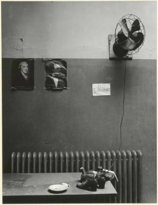 Fan and Shoes, Ellis Island