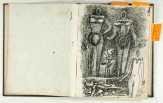 Cuaderno con cuarenta y cuatro páginas de dibujos (figuras y animales)