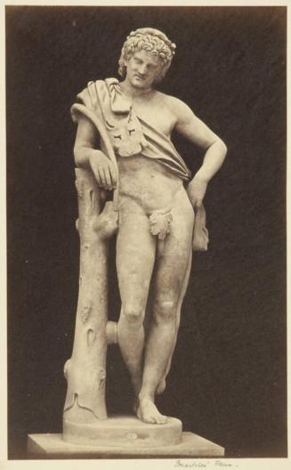Praxiteles' Faun