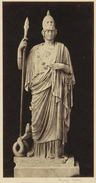 Medici Minerva