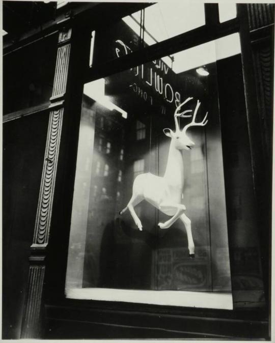 Designer's Window, Bleecker Street, New York