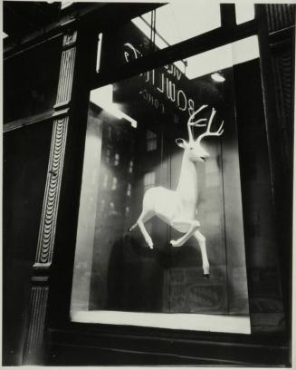 Designer's Window, Bleecker Street, New York