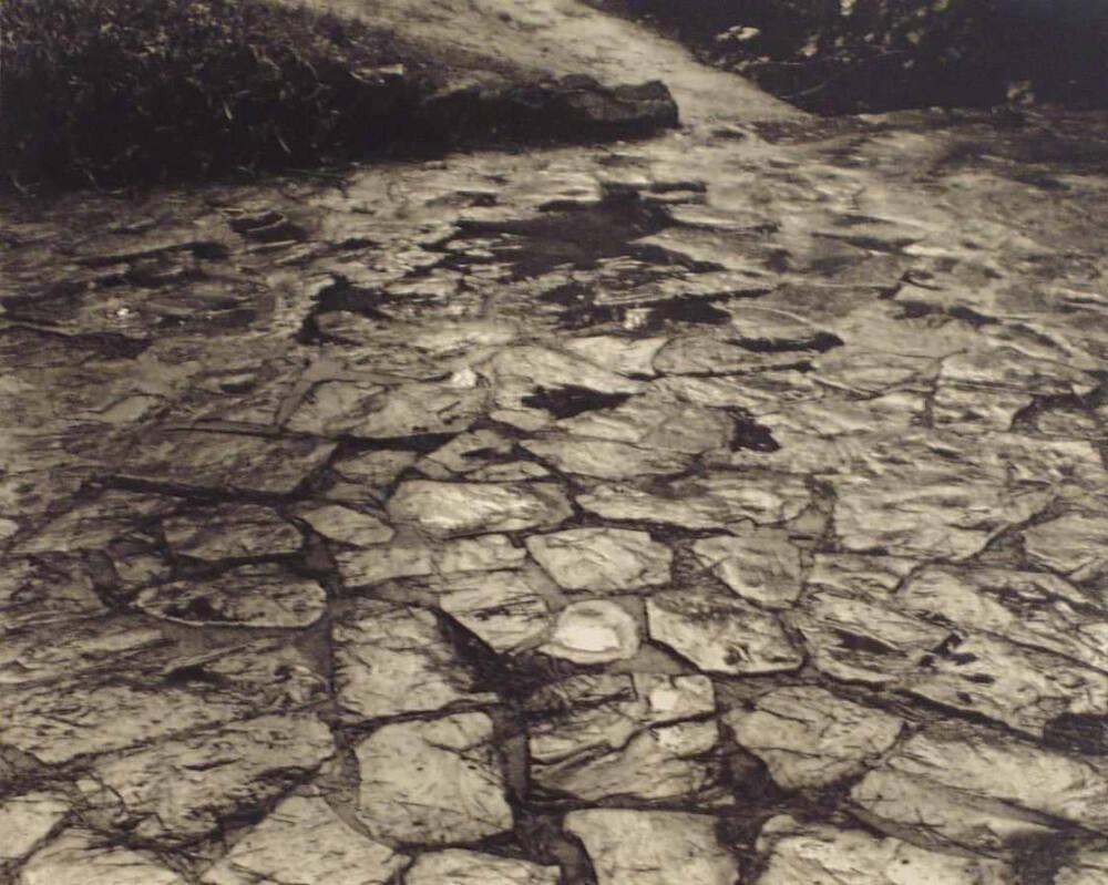 Untitled (Dried Mud Pathway) | All Works | The MFAH Collections