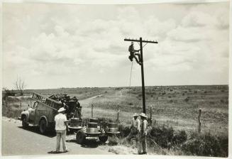 Linemen at Work, Texas Telephone Workers