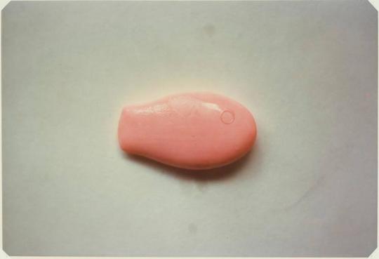 Soap Fish with Pubic Hair Eye