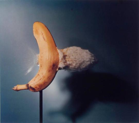 Bullet through Banana