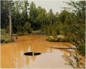 Drain in a Human-Made Swamp