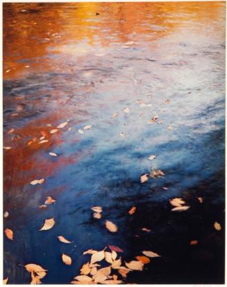 Pool in a brook, Pond Brook, near Whiteface, New Hampshire, from the series Intimate Landscapes