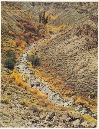 Taos River canyon, Near Taos, New Mexico, from the series Intimate Landscapes