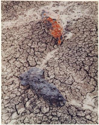 Stones and cracked mud, Black Place, New Mexico, from the series Intimate Landscapes