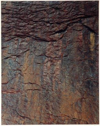 Moist rock wall, Cathedral of the Desert, Clearcreek, Utah, from the series Intimate Landscapes