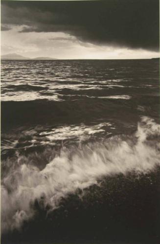 Le Lèman, 1993