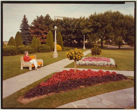 Floral Clock