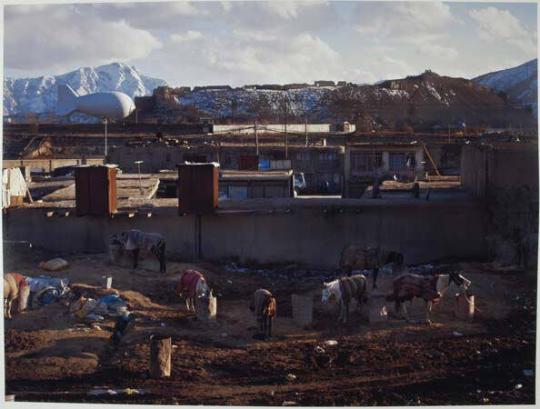 Wasteland at the back of shops used as stabling for draft horses. In the distance is the Bala Hissar citadel, now home to an Afghan Army base and mooring for one of the American blimps that carry electronic surveillance gear and cameras.