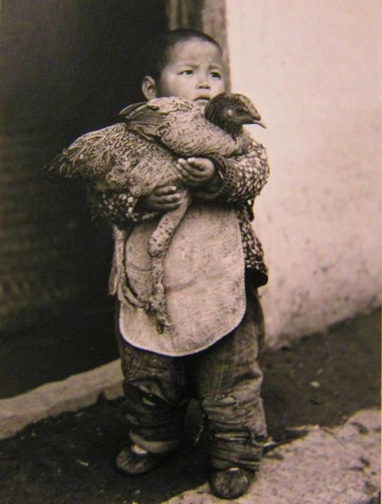 Boy with Chicken, Hungjao, China