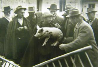 Farmers in the Market, Tocco, Italy