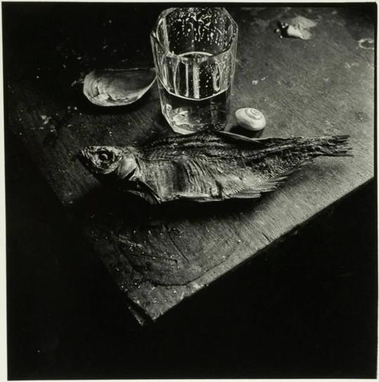 Still Life with Fish