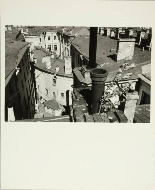 Wind on the Rooftop of Gumilev's House