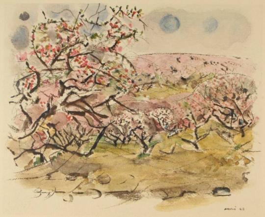 Peach Trees in Blossom