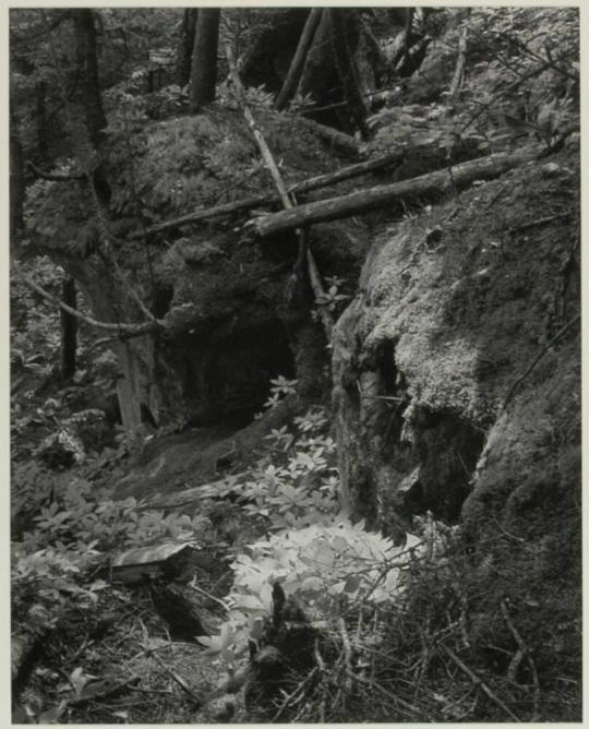 Raven's Gulch, Lubec, Maine