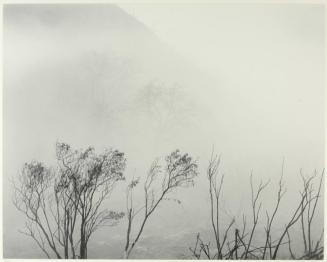Morning Fog, Ladyface Mountain