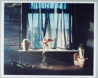 uncropped recto of sheet
