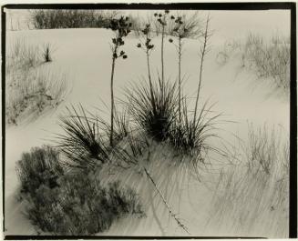 White Sands National Monument