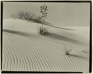 White Sands National Monument