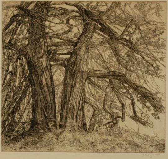 Unk and Es (Trees)